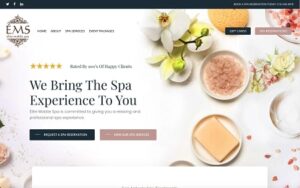 elite-mbilespa-website