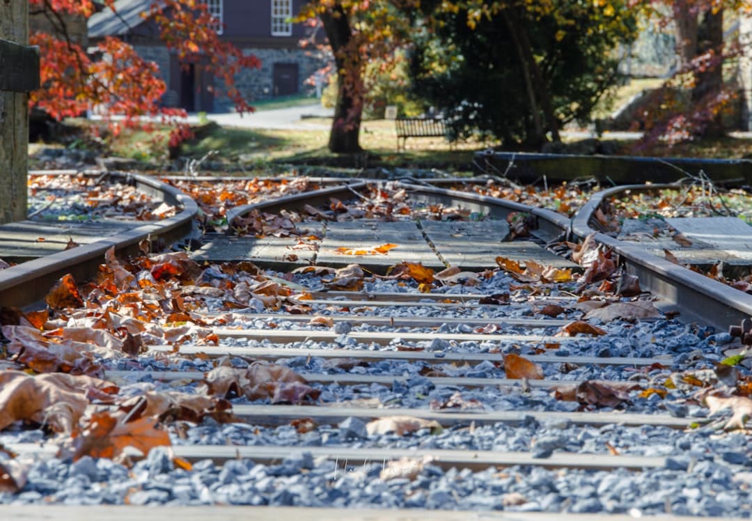 Railway tracks diverging through autumn leaves, representing two separate marketing channels
